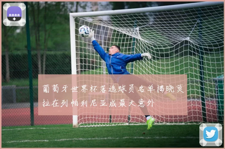 葡萄牙世界杯落选球员名单揭晓莫拉在列帕利尼亚成最大意外